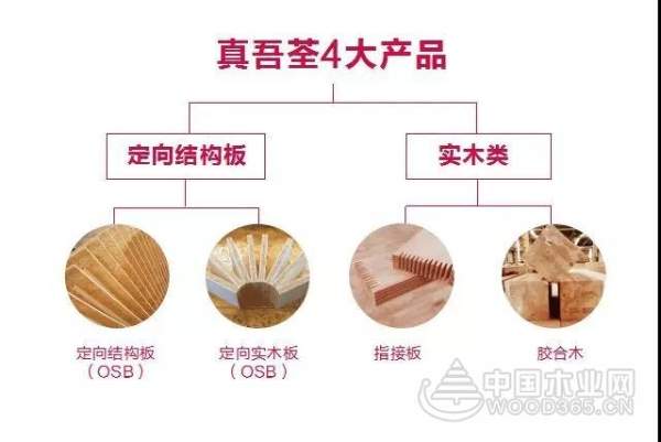 木尽其用——园方林业亮相5月广州住博会！