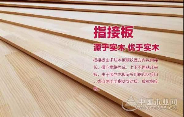 木尽其用——园方林业亮相5月广州住博会！