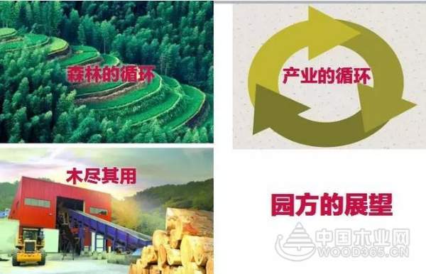 木尽其用——园方林业亮相5月广州住博会！