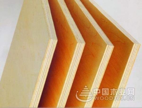 泉金木业为何能获得众多客户的青睐？