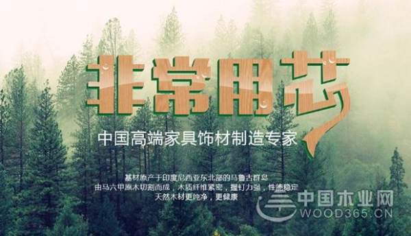 泉金木业为何能获得众多客户的青睐？
