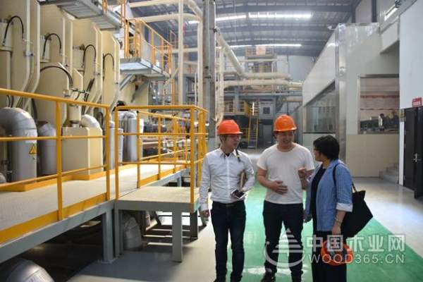 圣奥家具到访科林木业 凝聚共识谋合作