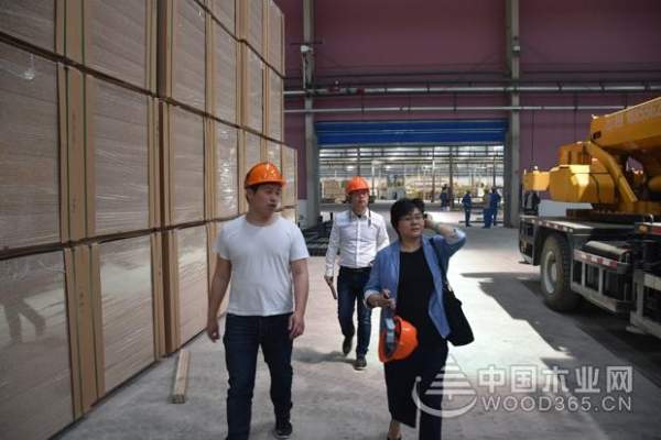 圣奥家具到访科林木业 凝聚共识谋合作