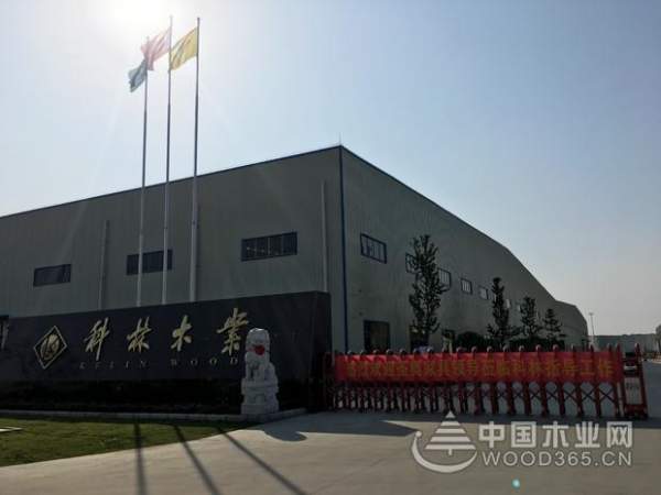 圣奥家具到访科林木业 凝聚共识谋合作
