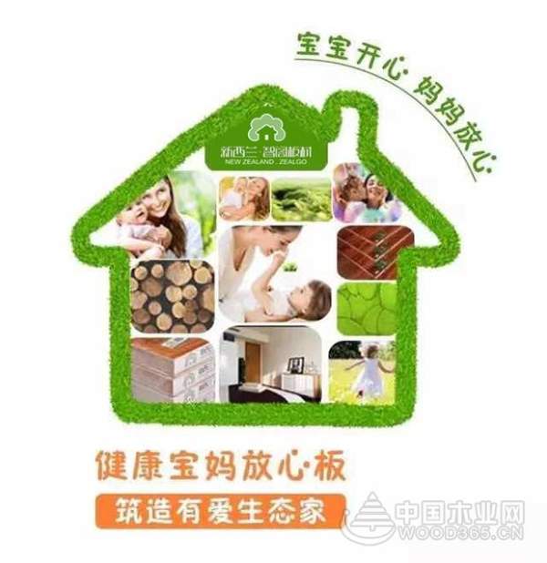 新西兰智阁板材：不断学习进步  加快发展步伐