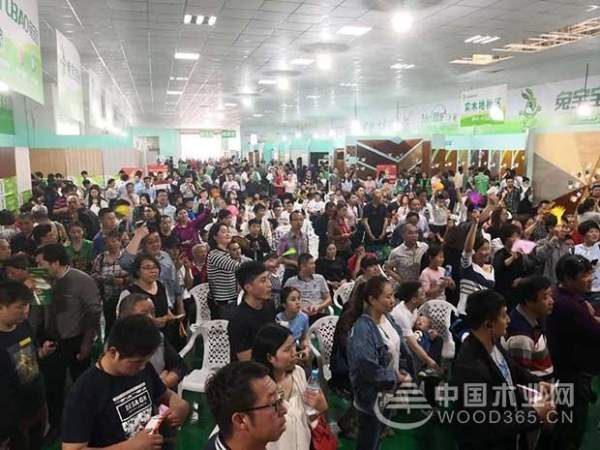 双响炮！苏州、衢州兔宝宝环保行总定金8715000元！
