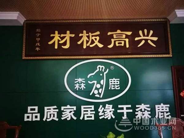 我愿一生为木，我为森鹿代言！