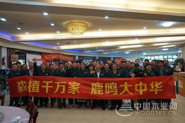 我愿一生为木，我为森鹿代言！