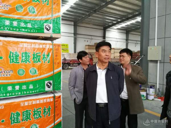 实力凸显 鹏森缘迎多位领导莅临考察