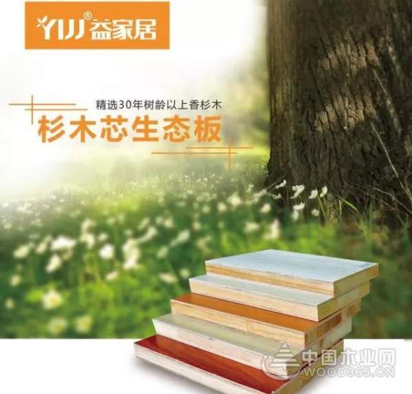 益家居杉木生态板：为家添加一份森林的气息