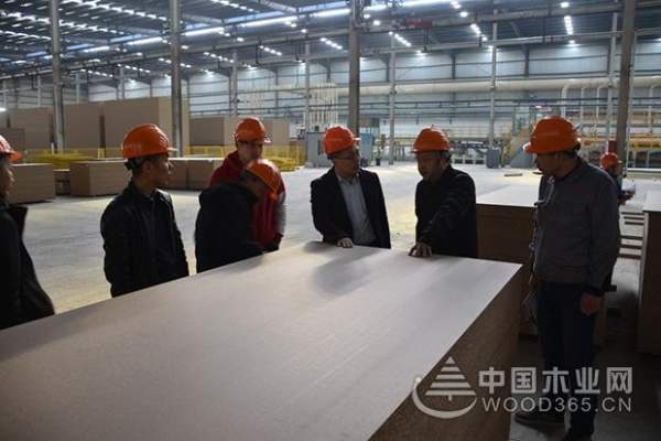 方太柏橱采购部长赵剑锋等一行到访科林木业工厂参观