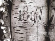 TBB地材中心，牵手德国柯诺，共享百年品质！