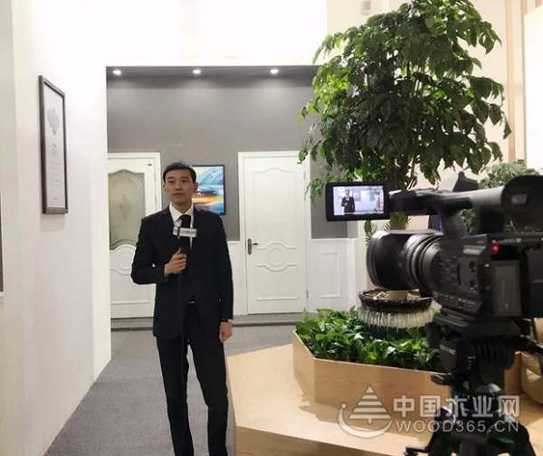 兔宝宝木门展，亮点不断，带你精彩回顾！