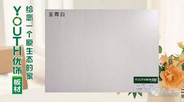 YOUTH优饰--生态板