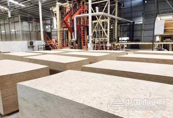 以事实说话，PULA浦丽桉欧松板无惧重压！