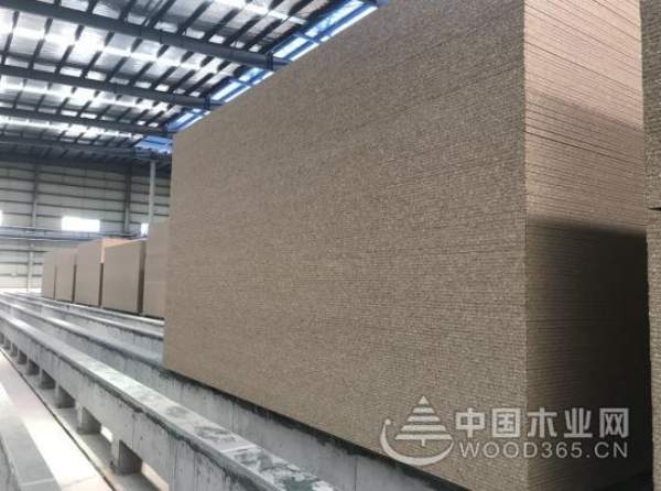 科林新品来袭 一线家居陆续考察合作