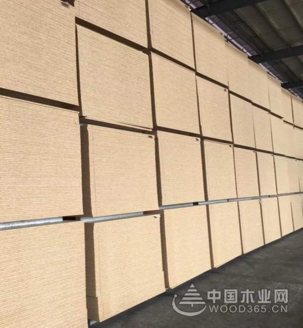 科林新品来袭 一线家居陆续考察合作