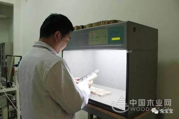 兔宝宝承诺给消费者构筑一个透明、安全、健康家！