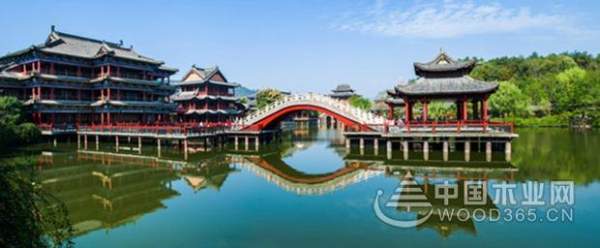 壮象：香杉的秘密，它凭什么被称为国木之首？