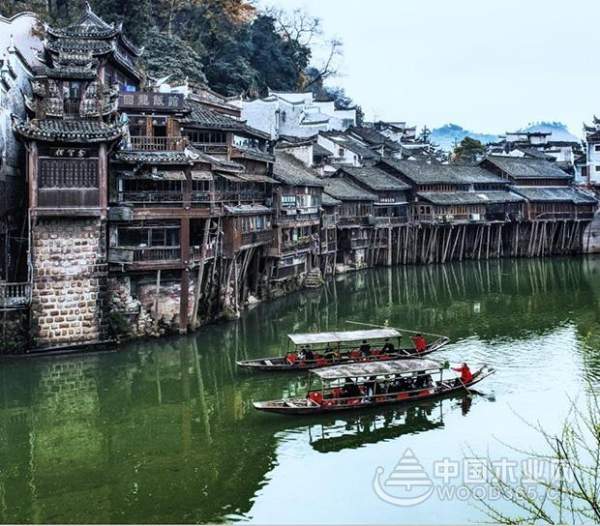 壮象：香杉的秘密，它凭什么被称为国木之首？