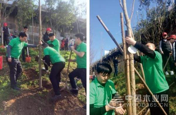 【植树节特辑】公益在我心，智阁伴你行