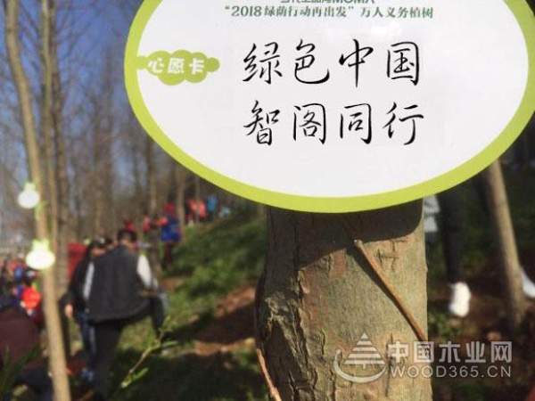 【植树节特辑】公益在我心，智阁伴你行