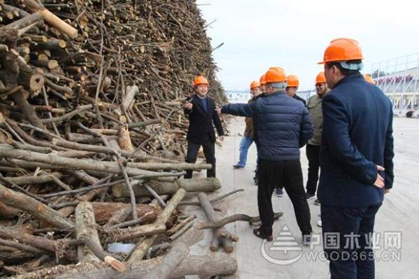 索菲亚采购部总监冯剑等一行到访中国第 一家超级刨花板公司-科林木业