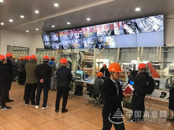 索菲亚采购部总监冯剑等一行到访中国第 一家超级刨花板公司-科林木业