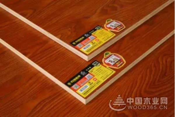 百强板材：我们不一样！