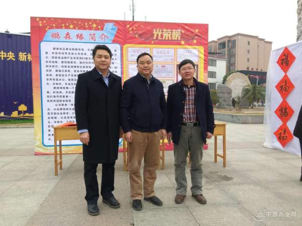 龙飞凤舞迎新春，鹏森缘携手柳城县总工会送春联！