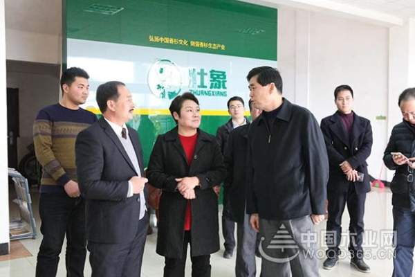 广西壮族自治区政协副主席到访壮象木业