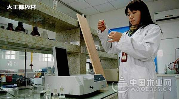 购买板材 选择大王椰的十大理由