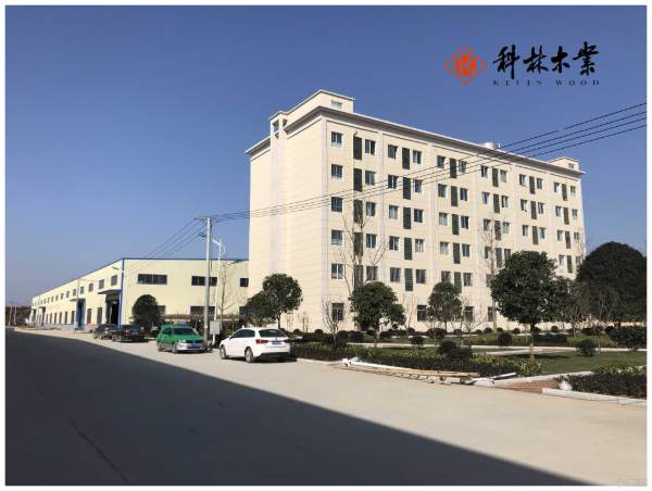 招贤纳士 科林木业诚招有志人才共赢未来