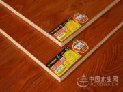 百强板材，拼的就是硬实力！