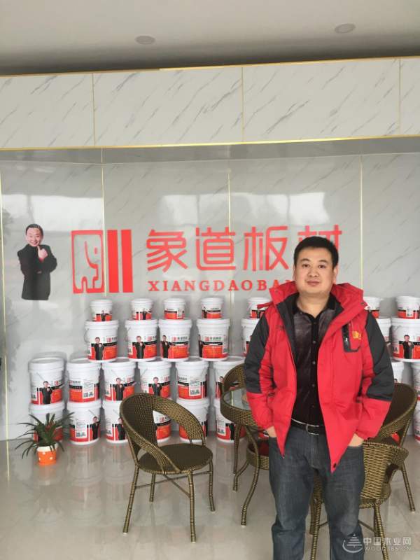 付出总有回报！2017年象道板材市场建设硕果累累！